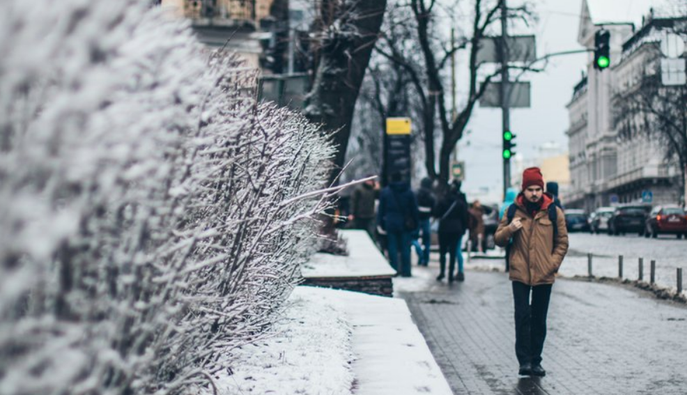 Або дистанційне навчання, або канікули до 1 лютого: МОН ухвалило рішення